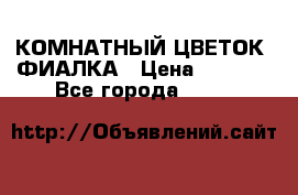 КОМНАТНЫЙ ЦВЕТОК -ФИАЛКА › Цена ­ 1 500 - Все города  »    